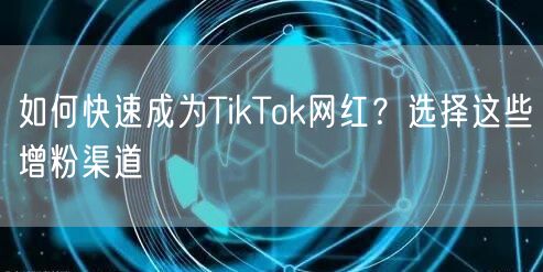 如何快速成为TikTok网红？选择这些增粉渠道