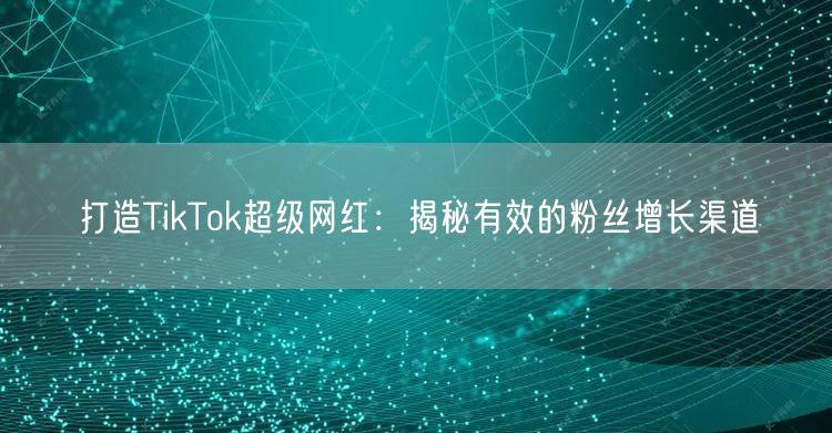 打造TikTok超级网红：揭秘有效的粉丝增长渠道