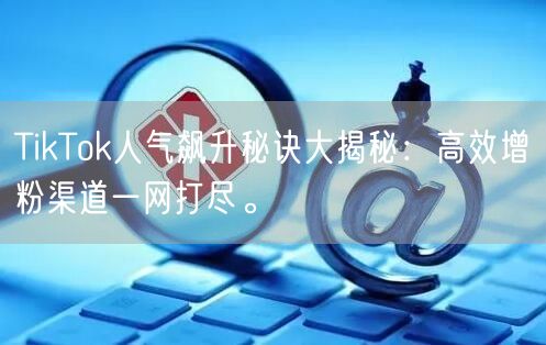 TikTok人气飙升秘诀大揭秘：高效增粉渠道一网打尽。