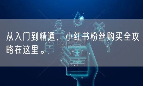 从入门到精通，小红书粉丝购买全攻略在这里。