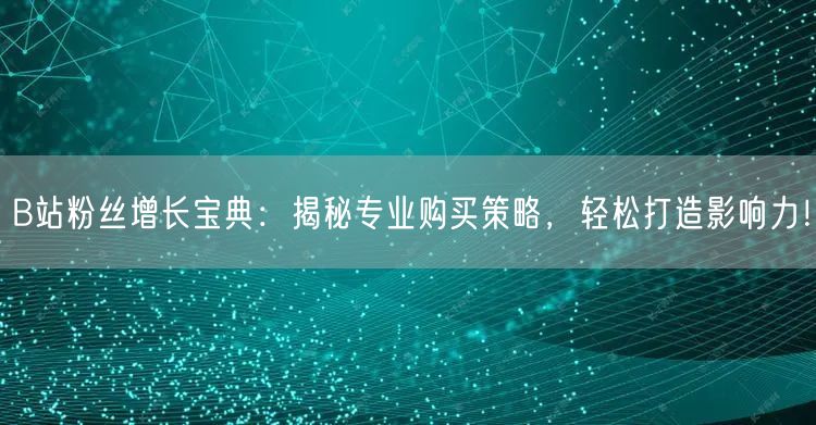 B站粉丝增长宝典：揭秘专业购买策略，轻松打造影响力！