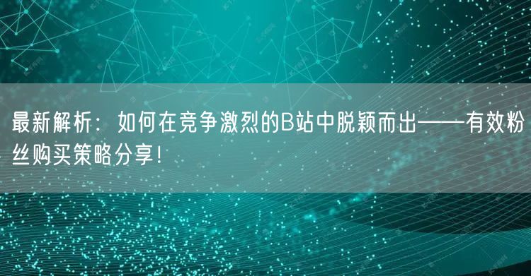 最新解析：如何在竞争激烈的B站中脱颖而出——有效粉丝购买策略分享！