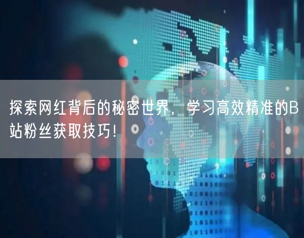 探索网红背后的秘密世界，学习高效精准的B站粉丝获取技巧！