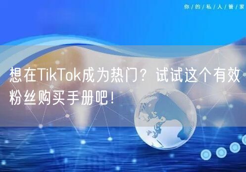 想在TikTok成为热门？试试这个有效粉丝购买手册吧！
