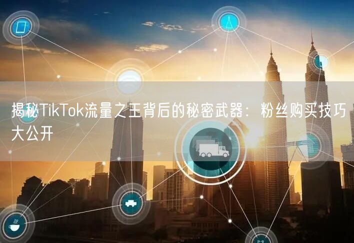 揭秘TikTok流量之王背后的秘密武器：粉丝购买技巧大公开