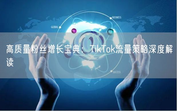 高质量粉丝增长宝典：TikTok流量策略深度解读