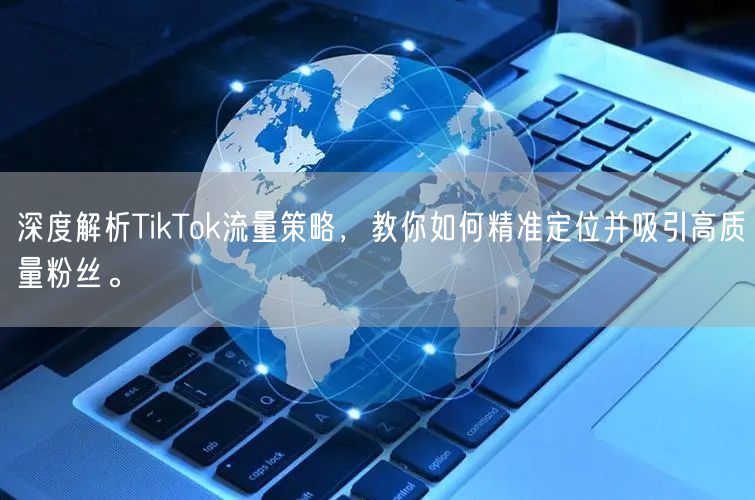 深度解析TikTok流量策略，教你如何精准定位并吸引高质量粉丝。