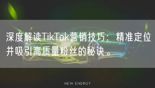 深度解读TikTok营销技巧：精准定位并吸引高质量粉丝的秘诀。