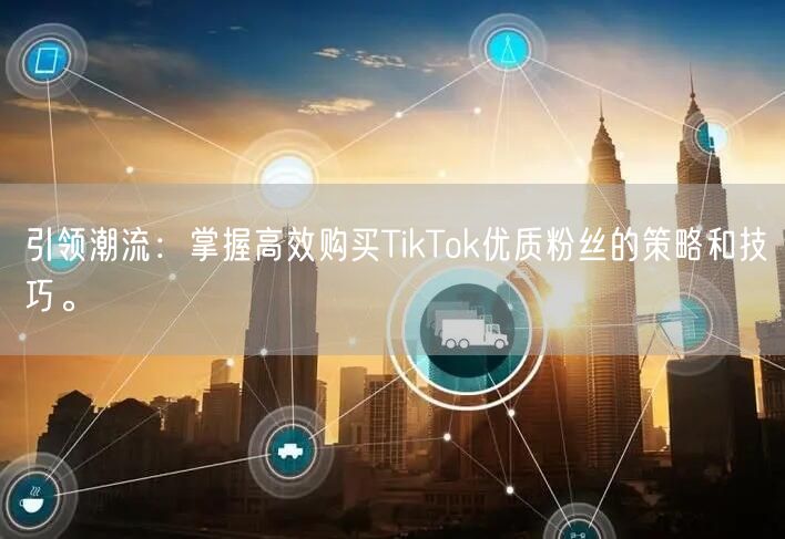 引领潮流：掌握高效购买TikTok优质粉丝的策略和技巧。