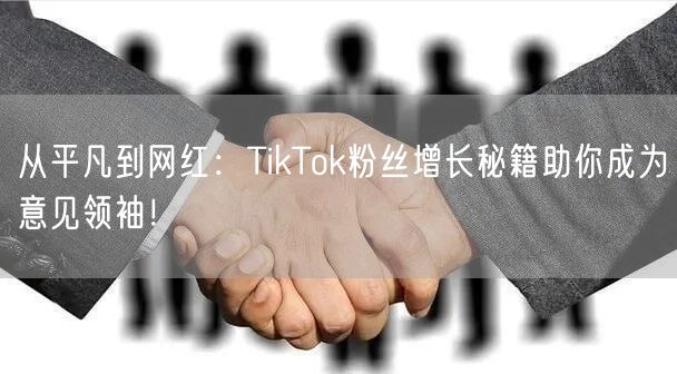 从平凡到网红：TikTok粉丝增长秘籍助你成为意见领袖！