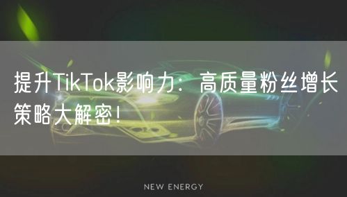 提升TikTok影响力：高质量粉丝增长策略大解密！