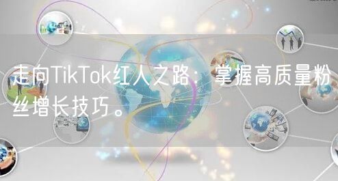 走向TikTok红人之路：掌握高质量粉丝增长技巧。