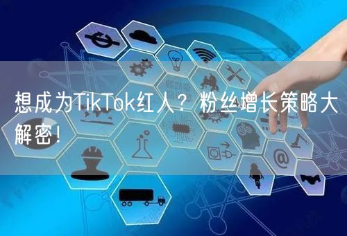 想成为TikTok红人？粉丝增长策略大解密！