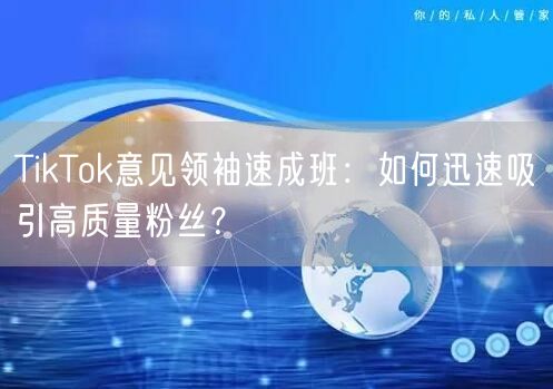TikTok意见领袖速成班：如何迅速吸引高质量粉丝？