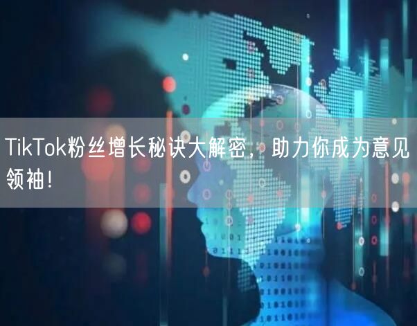TikTok粉丝增长秘诀大解密，助力你成为意见领袖！