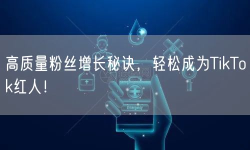 高质量粉丝增长秘诀，轻松成为TikTok红人！