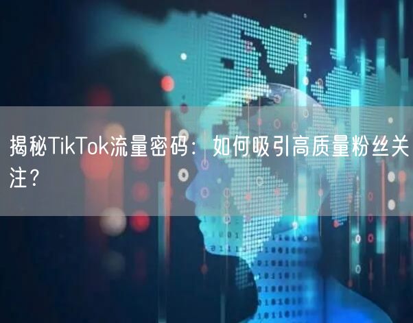 揭秘TikTok流量密码：如何吸引高质量粉丝关注？