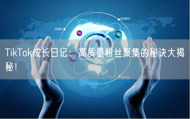 TikTok成长日记：高质量粉丝聚集的秘诀大揭秘！