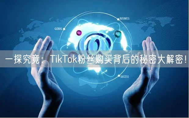 一探究竟：TikTok粉丝购买背后的秘密大解密！