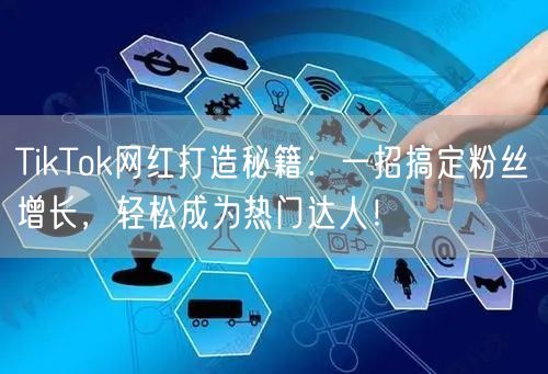 TikTok网红打造秘籍：一招搞定粉丝增长，轻松成为热门达人！