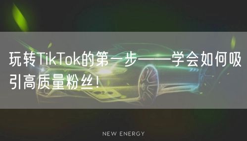 玩转TikTok的第一步——学会如何吸引高质量粉丝！