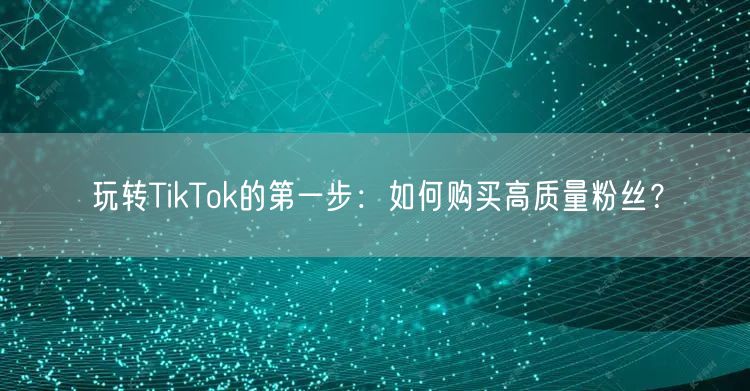 玩转TikTok的第一步：如何购买高质量粉丝？