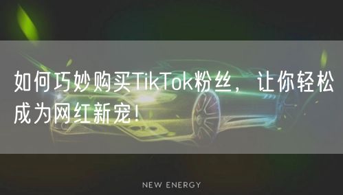 如何巧妙购买TikTok粉丝，让你轻松成为网红新宠！