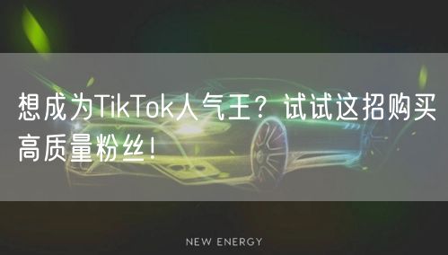 想成为TikTok人气王？试试这招购买高质量粉丝！
