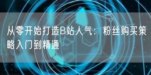 从零开始打造B站人气：粉丝购买策略入门到精通