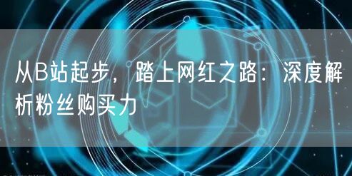 从B站起步，踏上网红之路：深度解析粉丝购买力