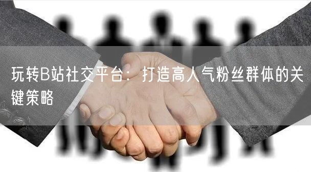玩转B站社交平台：打造高人气粉丝群体的关键策略