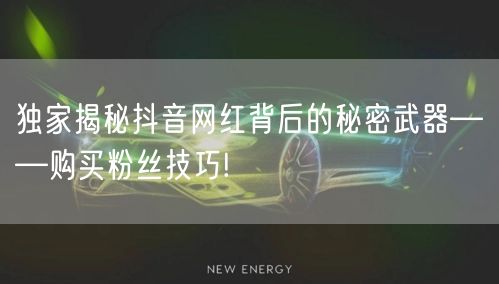 独家揭秘抖音网红背后的秘密武器——购买粉丝技巧!