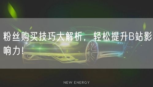 粉丝购买技巧大解析，轻松提升B站影响力！