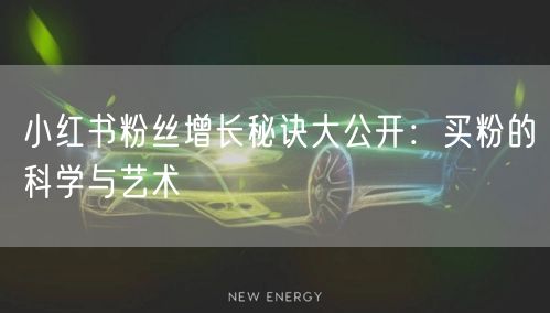 小红书粉丝增长秘诀大公开：买粉的科学与艺术