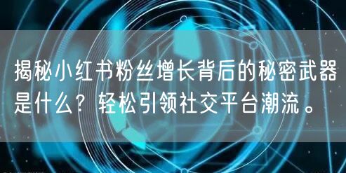 揭秘小红书粉丝增长背后的秘密武器是什么？轻松引领社交平台潮流。