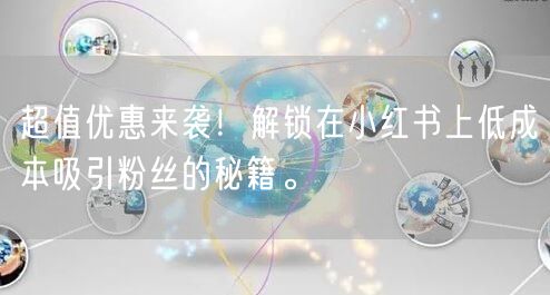 超值优惠来袭！解锁在小红书上低成本吸引粉丝的秘籍。