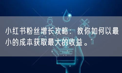小红书粉丝增长攻略：教你如何以最小的成本获取最大的收益。
