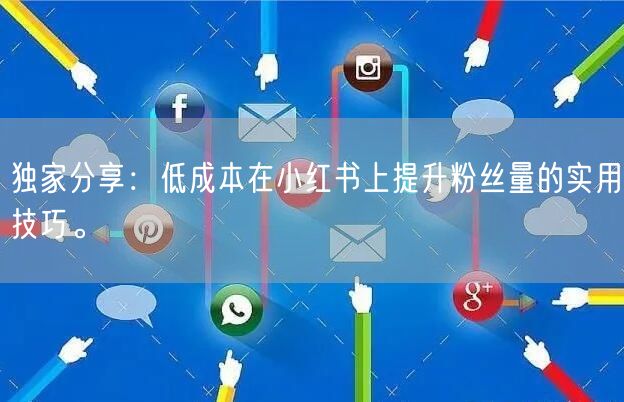 独家分享：低成本在小红书上提升粉丝量的实用技巧。