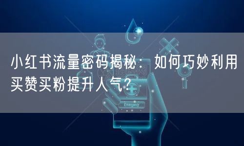 小红书流量密码揭秘：如何巧妙利用买赞买粉提升人气？