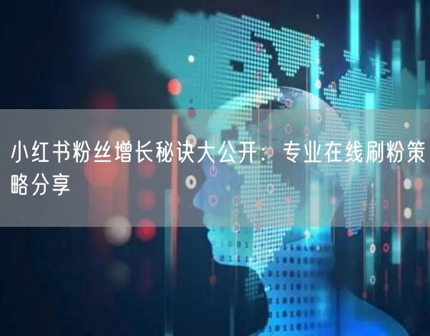 小红书粉丝增长秘诀大公开：专业在线刷粉策略分享