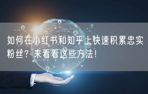 如何在小红书和知乎上快速积累忠实粉丝？来看看这些方法！