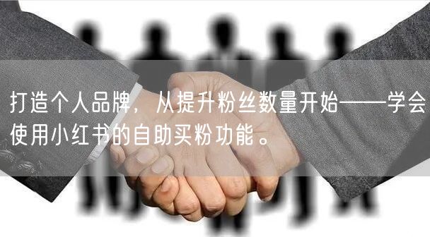 打造个人品牌，从提升粉丝数量开始——学会使用小红书的自助买粉功能。