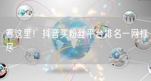 看这里！抖音买粉丝平台排名一网打尽