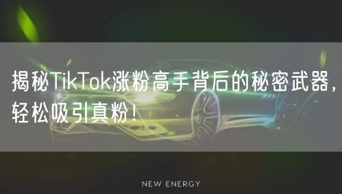 揭秘TikTok涨粉高手背后的秘密武器，轻松吸引真粉！