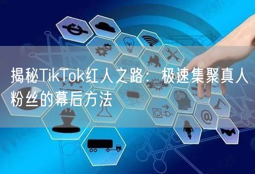 揭秘TikTok红人之路：极速集聚真人粉丝的幕后方法