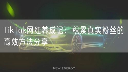 TikTok网红养成记：积累真实粉丝的高效方法分享